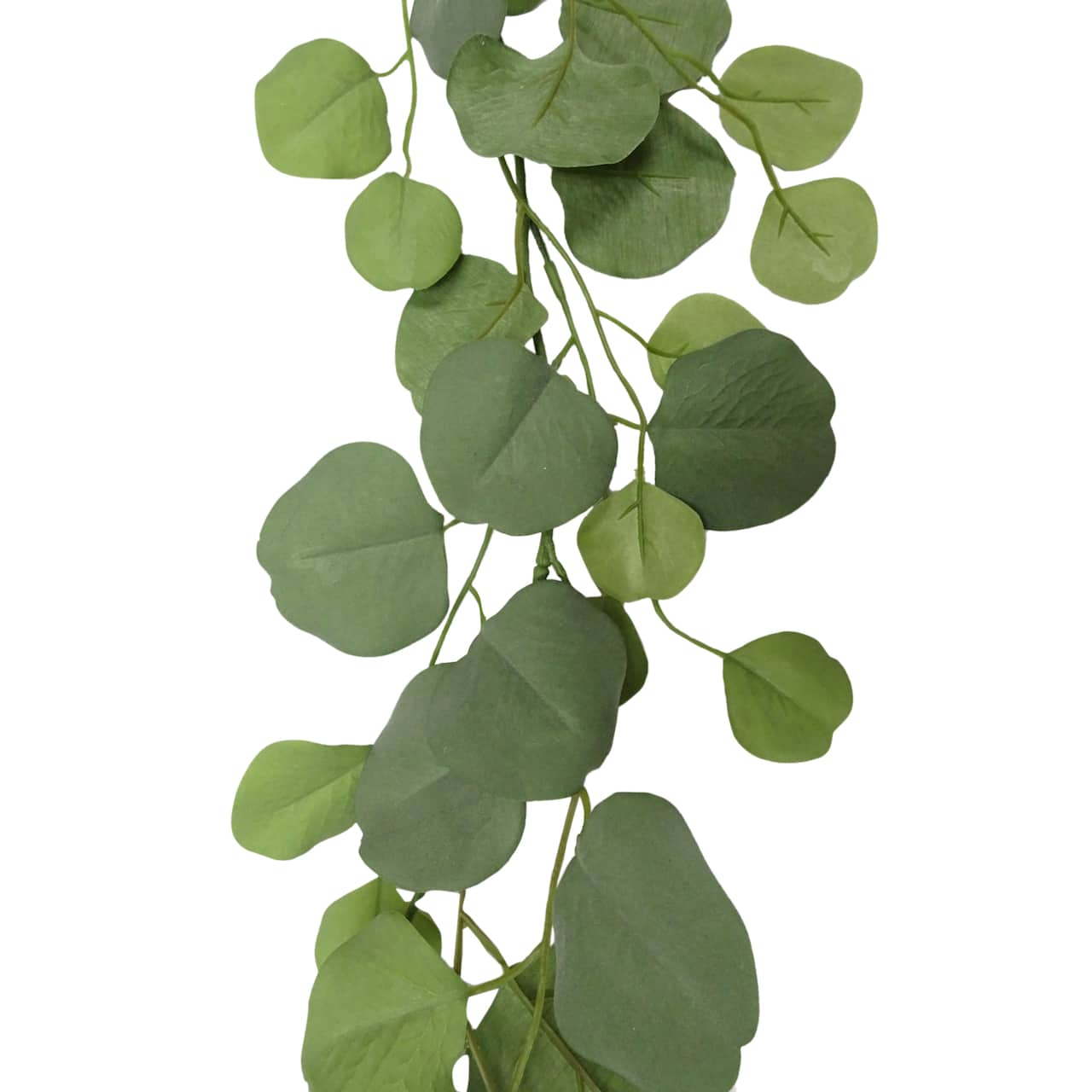 6ft. Eucalyptus Garland by Ashland®